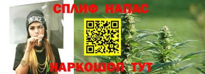 сатива Кунгур
